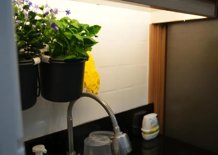 Cozy 1br Staycation With Pool And Near Moa